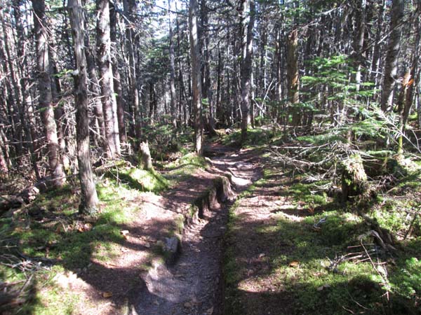 The Hancock Loop Trail between the peaks