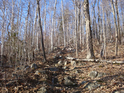 Looking up the Mahoosuc Trail