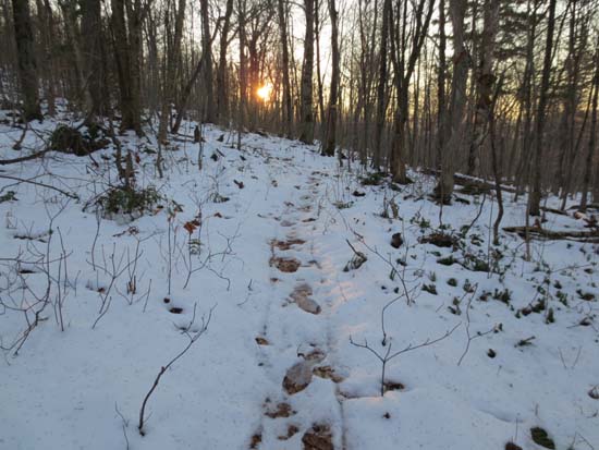 The Mahoosuc Trail on the way to Mt. Hayes
