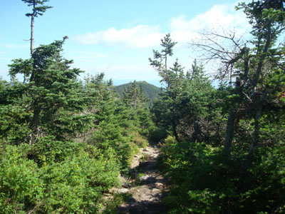 The Carter Moriah Trail to Mt. Hight