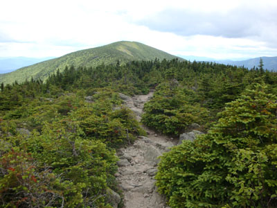The Carter-Moriah Trail near Mt. Hight