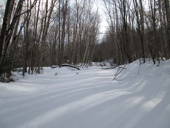 Ascending a logging road on the way to South Hitchcock