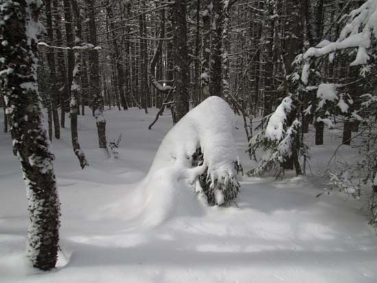 Bushwhacking between the peaks