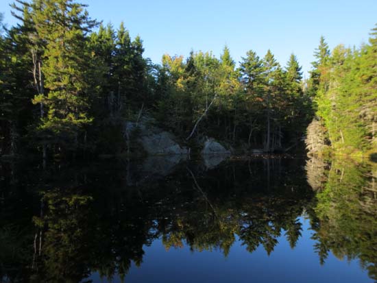 Ray's Pond