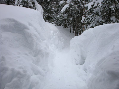 Looking down the Isolation Trail