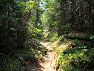 The Davis Path between Mt. Davis and Mt. Isolation
