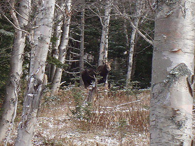 You never know who is watching you!
