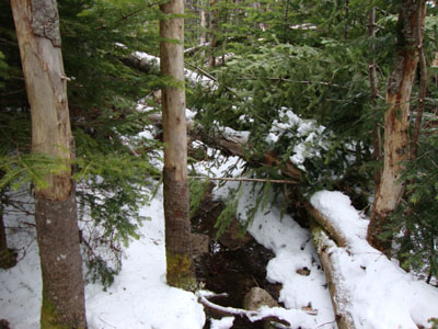 Nasty blowdown patches on the Isolation Trail