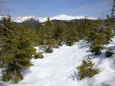 Looking down the Davis Path