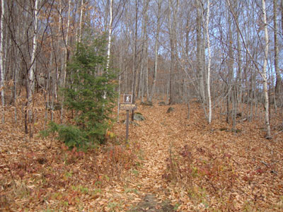 The Rocky Branch Trail trailhead