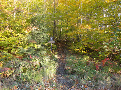 The Rocky Branch Trail trailhead