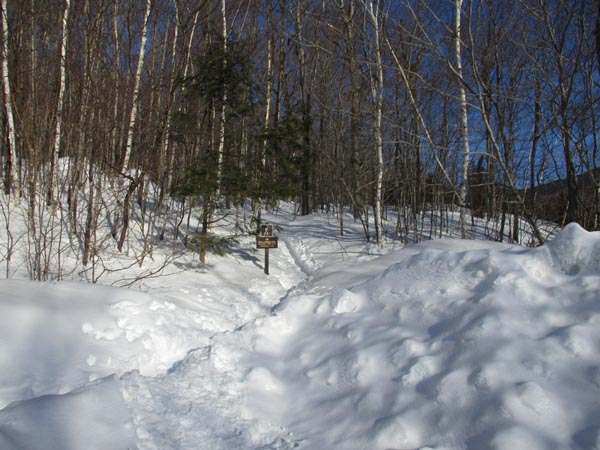 The Rocky Branch Trail trailhead