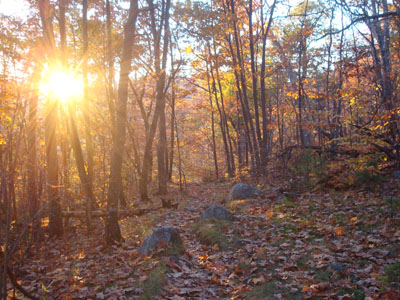 Looking down the Wentworth Trail