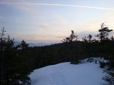 Looking up the Wentworth Trail