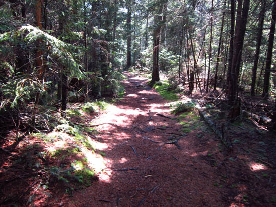 The Wentworth Trail