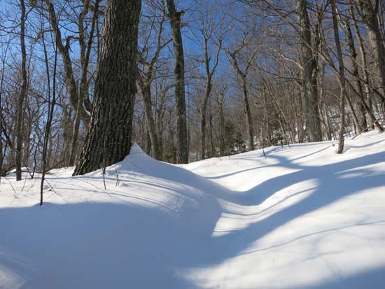 The Wentworth Trail
