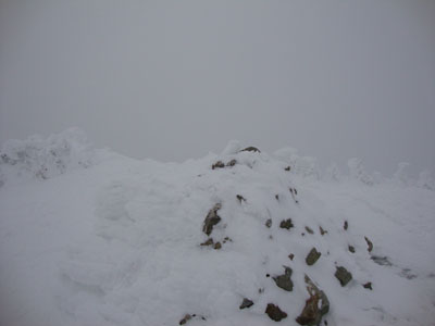 The Mt. Jackson summit - Click to enlarge
