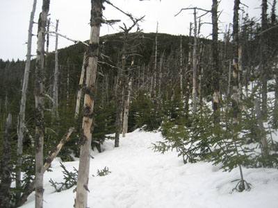 Looking up the Webster-Jackson Trail near the summit