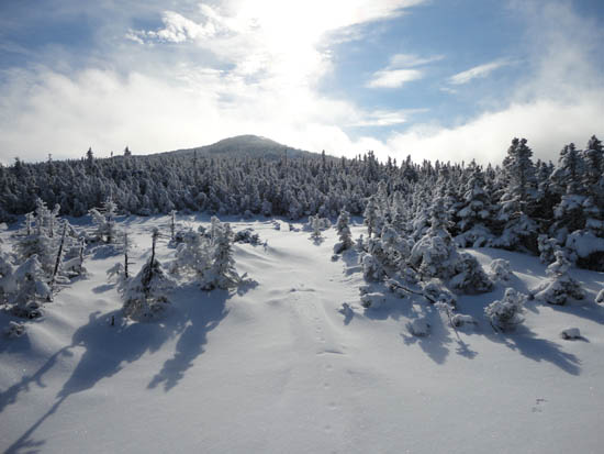 The Webster Cliff Trail on the way to Mt. Jackson