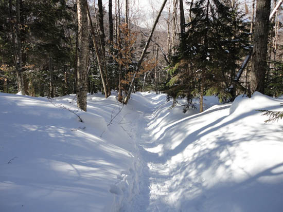 The Webster-Jackson Trail later in the morning