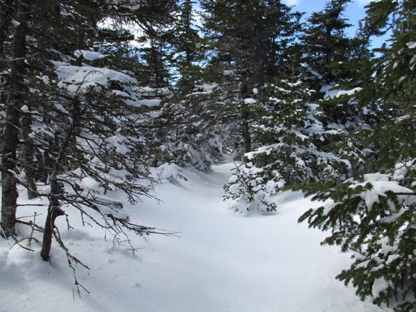An unbroken section of the Webster Cliff Trail