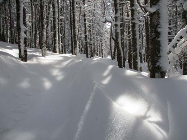 Deep drifts on the Webster Cliff Trail