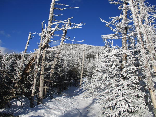 The Webster-Jackson Trail