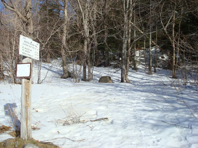 Webster-Jackson Trail trailhead on Route 302