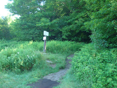 Webster-Jackson Trail trailhead on Route 302
