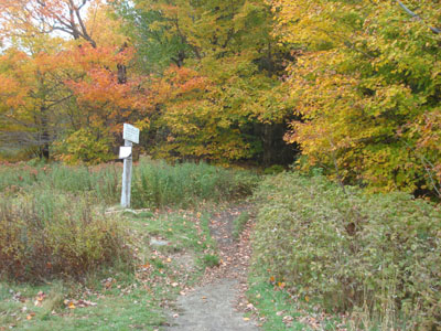 Webster-Jackson Trail trailhead on Route 302