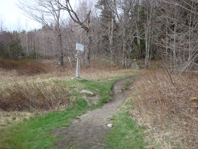 Webster-Jackson Trail trailhead on Route 302