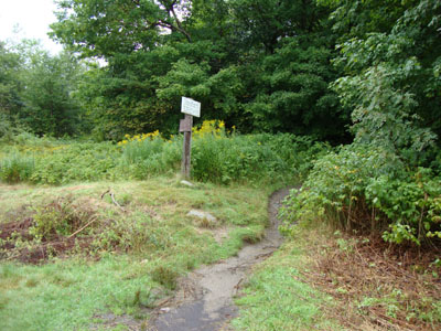 Webster-Jackson Trail trailhead on Route 302