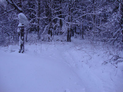 Webster-Jackson Trail trailhead on Route 302