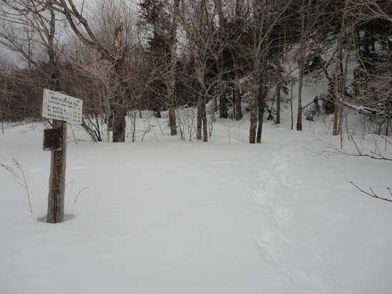 Webster-Jackson Trail trailhead on Route 302