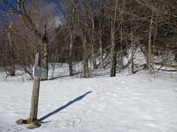 Webster-Jackson Trail trailhead on Route 302
