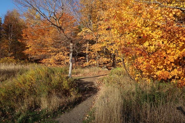 Webster-Jackson Trail trailhead on Route 302