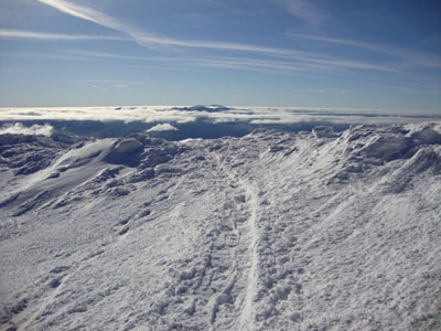 The Gulfside Trail on the way to Mt. Jefferson