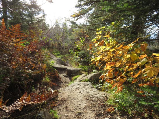 The Caps Ridge Trail