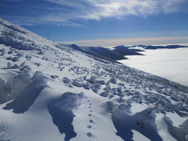 Cutting across to the Jewell Trail