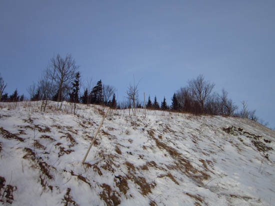 The new (2011) Jewell Trail trailhead near the Marshfield Base Station