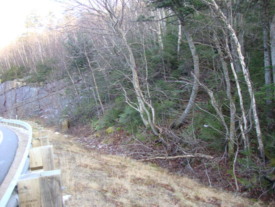Entering the woods on a curve east of Kancamagus Pass on Route 112
