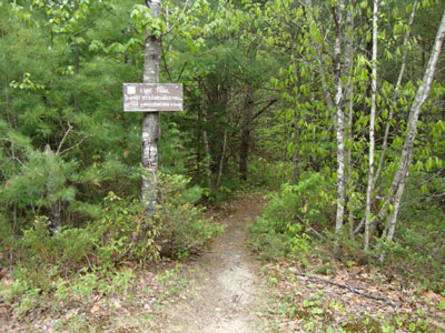 The Link Trail trailhead off Kearsarge Valley Road