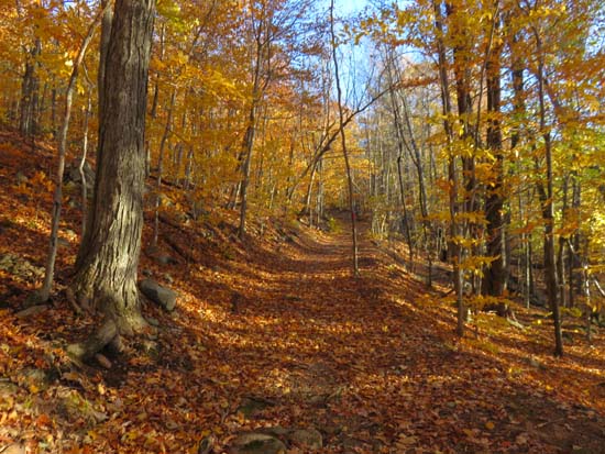 The Round Pond Trail
