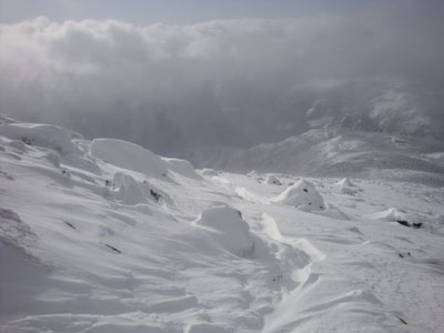 The Greenleaf Trail below Mt. Lafayette