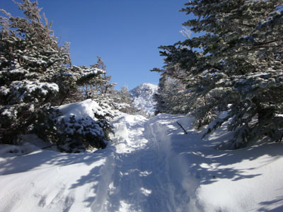 Looking up the Old Bridle Path
