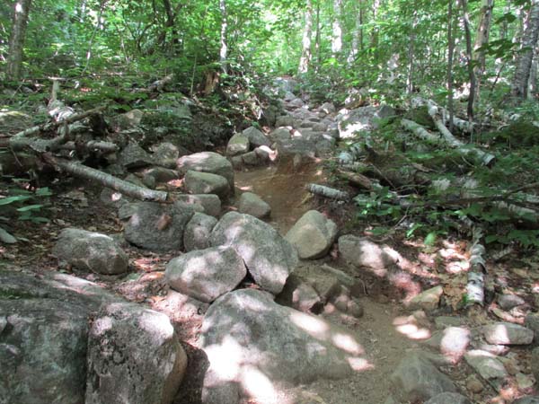 The eroded Old Bridle Path on the way to Mt. Lafayette