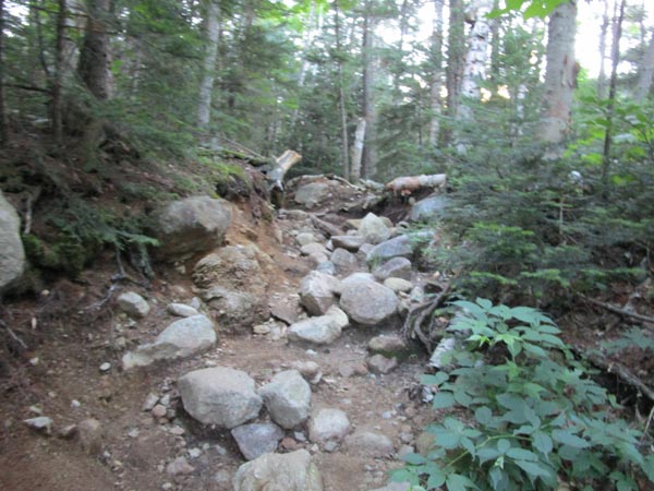 Looking up the heavily eroded Old Bridle Path