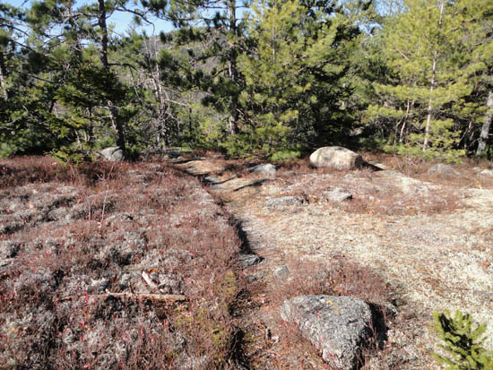 Looking down the Mt. Stanton Trail on the way to Mt. Pickering