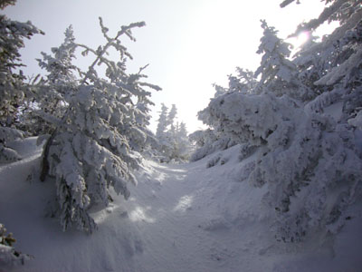 Looking up the Carter-Moriah Trail on the way to Mt. Lethe