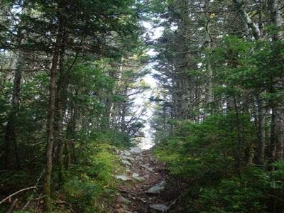 The Franconia Ridge Trail between Mt. Flume and Mt. Liberty